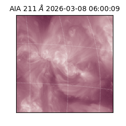 saia - 2026-03-08T06:00:09.623000