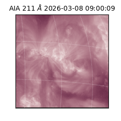 saia - 2026-03-08T09:00:09.623000