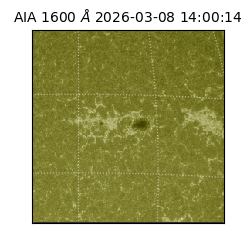 saia - 2026-03-08T14:00:14.123000