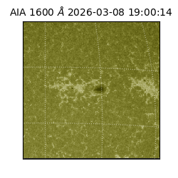 saia - 2026-03-08T19:00:14.123000