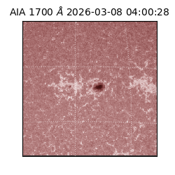 saia - 2026-03-08T04:00:28.446000