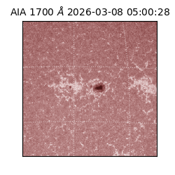 saia - 2026-03-08T05:00:28.446000