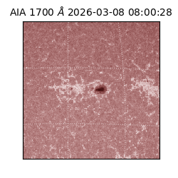 saia - 2026-03-08T08:00:28.457000