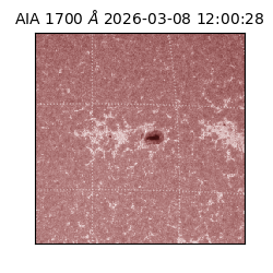 saia - 2026-03-08T12:00:28.449000