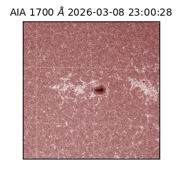 saia - 2026-03-08T23:00:28.450000