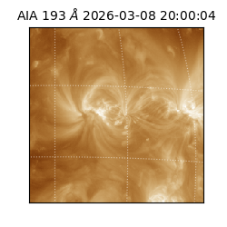 saia - 2026-03-08T20:00:04.842000