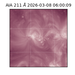 saia - 2026-03-08T06:00:09.623000