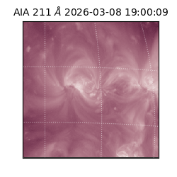 saia - 2026-03-08T19:00:09.624000