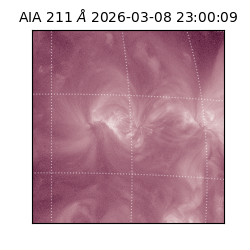 saia - 2026-03-08T23:00:09.620000