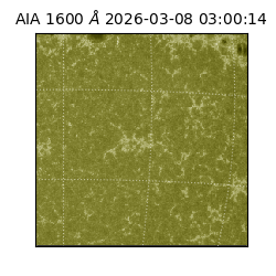 saia - 2026-03-08T03:00:14.122000