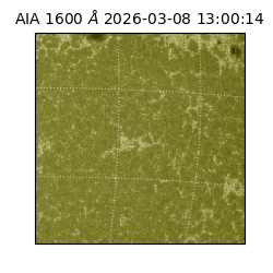 saia - 2026-03-08T13:00:14.122000