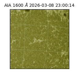 saia - 2026-03-08T23:00:14.120000