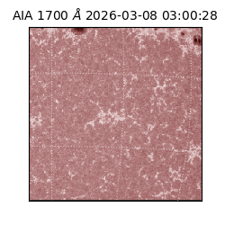 saia - 2026-03-08T03:00:28.450000