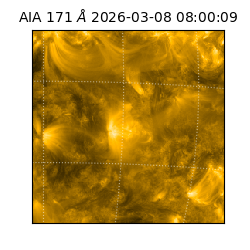 saia - 2026-03-08T08:00:09.349000