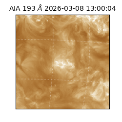 saia - 2026-03-08T13:00:04.845000