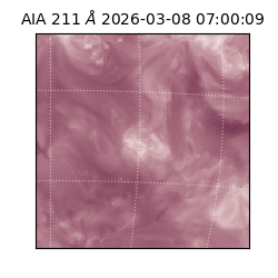 saia - 2026-03-08T07:00:09.623000