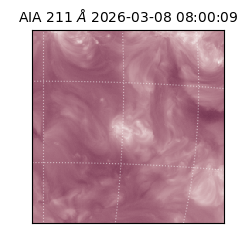 saia - 2026-03-08T08:00:09.623000