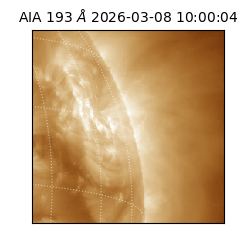 saia - 2026-03-08T10:00:04.842000