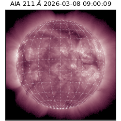 saia - 2026-03-08T09:00:09.623000