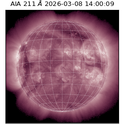 saia - 2026-03-08T14:00:09.623000