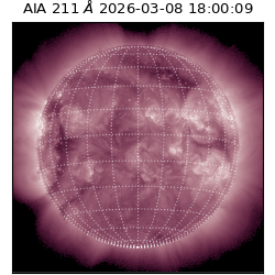 saia - 2026-03-08T18:00:09.624000