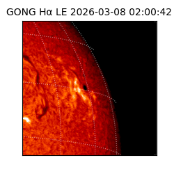 gong - 2026-03-08T02:00:42