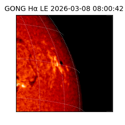 gong - 2026-03-08T08:00:42