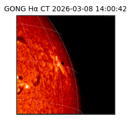 gong - 2026-03-08T14:00:42