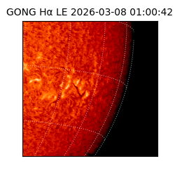 gong - 2026-03-08T01:00:42