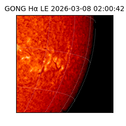 gong - 2026-03-08T02:00:42