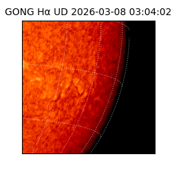 gong - 2026-03-08T03:04:02