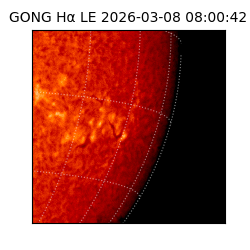 gong - 2026-03-08T08:00:42