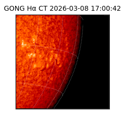 gong - 2026-03-08T17:00:42