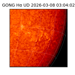 gong - 2026-03-08T03:04:02