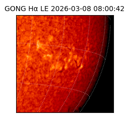 gong - 2026-03-08T08:00:42