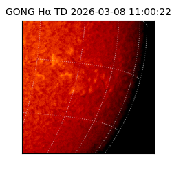 gong - 2026-03-08T11:00:22