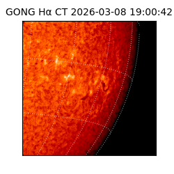 gong - 2026-03-08T19:00:42