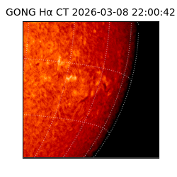 gong - 2026-03-08T22:00:42