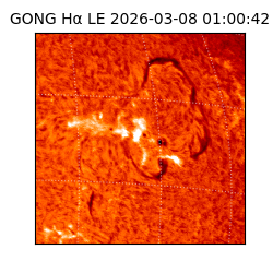 gong - 2026-03-08T01:00:42