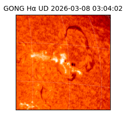 gong - 2026-03-08T03:04:02