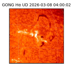 gong - 2026-03-08T04:00:02