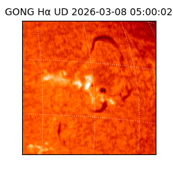 gong - 2026-03-08T05:00:02