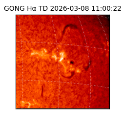 gong - 2026-03-08T11:00:22