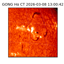 gong - 2026-03-08T13:00:42