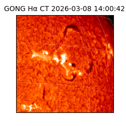 gong - 2026-03-08T14:00:42