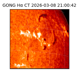 gong - 2026-03-08T21:00:42