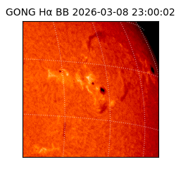 gong - 2026-03-08T23:00:02