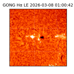 gong - 2026-03-08T01:00:42