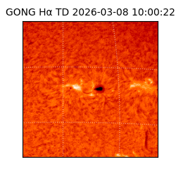 gong - 2026-03-08T10:00:22