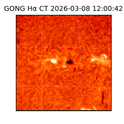 gong - 2026-03-08T12:00:42